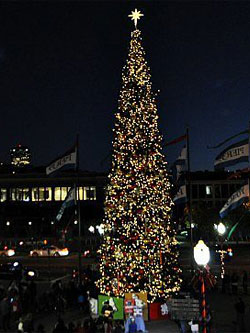 Pier 39 Christmas Tree